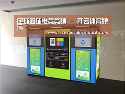 成功案例标题四