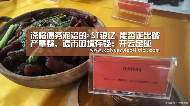 深陷债务泥沼的*ST银亿 能否走出破产重整、退市困境存疑:开云足球(图3) 开云电竞