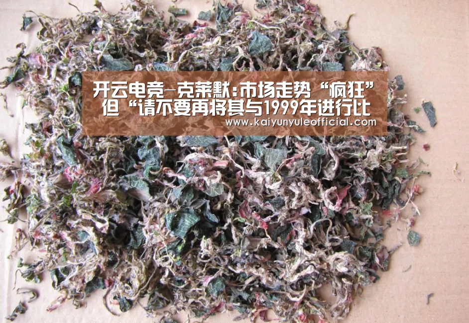 开云电竞-克莱默:市场走势“疯狂” 但“请不要再将其与1999年进行比较”(图1) 开云篮球
