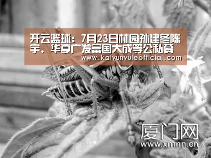 开云篮球
