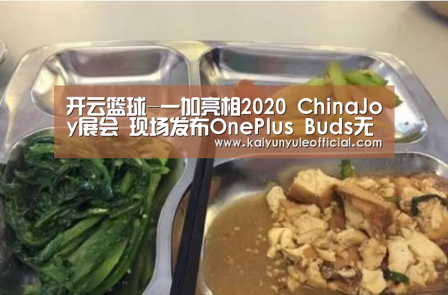 开云篮球-一加亮相2020 ChinaJoy展会 现场发布OnePlus Buds无线耳机(图1) 开云娱乐