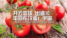 开云篮球