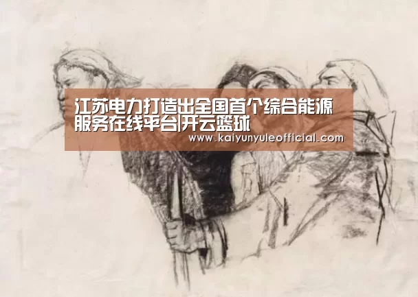 江苏电力打造出全国首个综合能源服务在线平台|开云篮球(图1) 开云篮球